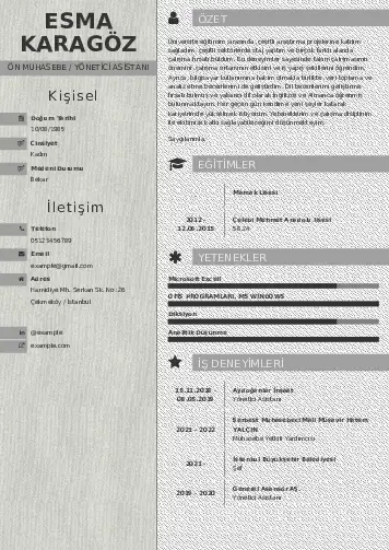 Yönetici Asistanı Cv Örnekleri cv indir
